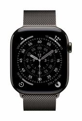 Apple MGJ74ZM/A accessoire intelligent à porter sur soi Bande Couleur ardoise Acier inoxydable 
