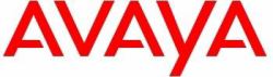 Avaya IPO LAN Cable, RJ45/RJ45 câble de réseau Gris 