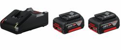 Bosch 1 600 A01 9S0 batterie et chargeur d’outil électroportatif Ensemble de batterie et de chargeur 