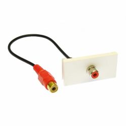 Cables Direct ZZ-MOD-1RCAR Module Keystone 