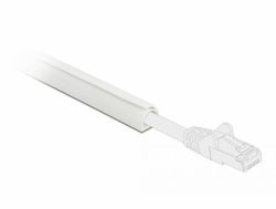 DeLOCK Conduite de câble semi-fermée 10 x 10 mm - longueur 1 m, blanc 