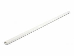 DeLOCK Conduite de câble semi-fermée 15 x 11 mm - longueur 1 m, blanc 