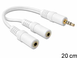 DeLOCK 65447 séparateur audio Blanc 