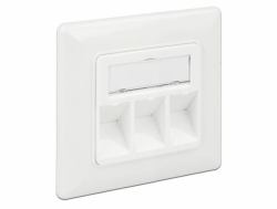 DeLOCK 86194 prise de courant RJ-45 Argent, Blanc 