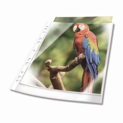 Durable 265502 protecteur de feuilles A4 Polypropylène [PP] 25 pièce[s] 