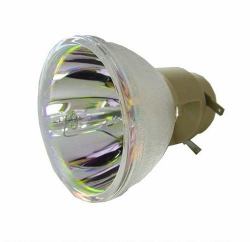 EasyLamp Pro-Gen ECL-6148-PG lampe de projection 220 W UHP 
