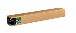 Epson C13S450279NQ papier rouleau 15 m 111,8 cm 