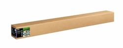 Epson C13S450280NQ papier rouleau 15 m 162,5 cm 