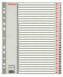 Esselte 100127 intercalaire de classement Onglet avec index numérique Polypropylène [PP] Gris 