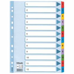 Esselte Mylar Indices & Dividers Onglet avec index numérique Carton Multicolore 