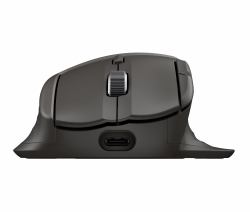 HP Souris sans fil à défilement ultra-rapide 785M 