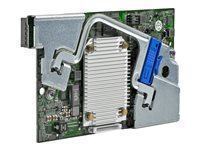 HPE Smart Array P244br/1G FIO - Warranty: 90 days only