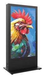 Hagor HP KIOSK 65IN FS - B2B - INDOOR BACK TO BACK STEHLE