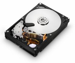 Hitachi Ultrastar A7K2000 1TB disque dur 1 To 7200 tr/min 32 Mo 3.5" Série ATA II 