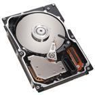 IBM 300GB SAS disque dur 300 Go 10000 tr/min 16 Mo 3.5" 