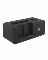ICY BOX IB-2924MSCL-C31 USB 3.2 Gen 2 [3.1 Gen 1] Type-C Noir 