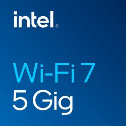 Intel Wi-Fi 7 BE200 Interne WLAN / Bluetooth 5800 Mbit/s 