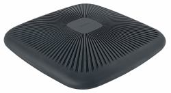 Leitz 65390089 planche d'équilibre Coussin d'équilibre Gris 
