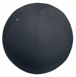 Leitz Ergo Gris Intérieure Sphérique 