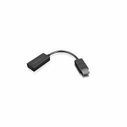 Lenovo 4X90R61023 câble vidéo et adaptateur 0,225 m DisplayPort HDMI Type A [Standard] Noir 