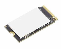 Lenovo 4XB1N36071 disque SSD 256 Go M.2 PCI Express 4.0 