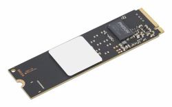 Lenovo 4XB1V57573 disque SSD 256 Go M.2 PCI Express 4.0 NVMe 
