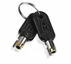 Lenovo 4Z10P40249 accessoire de câble de verrouillage Clé Gris 