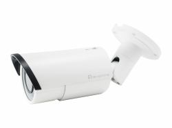 LevelOne FCS-5060 caméra de sécurité Balle [forme] Caméra de sécurité IP Intérieure et extérieure 1920 x 1080 pixels Plafond/mur 