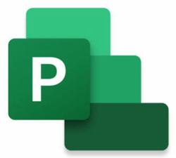 Microsoft Project Professional 2024 Gestion de projet Complète 1 licence[s] 