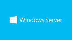 Microsoft Windows Server 2019 Datacenter 1 licence[s] 