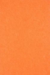 Middle Atlantic Focal Point TruTile AUTT22SQDACSMCRT Panneau et écran acoustique Panneau acoustique 