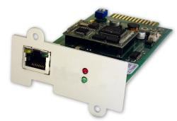 ONLINE USV-Systeme AG ONLINE USV-Systeme DW7SNMP30 carte réseau Interne Ethernet 100 Mbit/s 