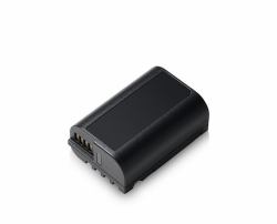 Panasonic DMW-BLK22E accessoire de caméra sportive d'action Batterie de caméra 