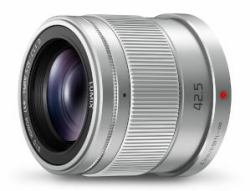 Panasonic H-HS043E MILC Téléobjectif Argent 