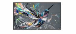 Philips 43BDL3511Q/00 Écran d'affichage dynamique Carte A numérique 109,2 cm [43"] 400 cd/m² 4K Ultra HD Noir 18/7 