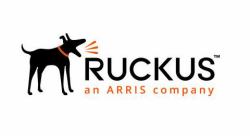 RUCKUS Networks Ruckus Wireless S01-0001-3LSG licence et mise à jour de logiciel 1 licence[s] 