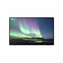 Ricoh Moniteur portable 150BW 