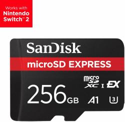 SanDisk Express 256 Go MicroSDXC UHS-I 