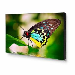 Sharp UN552 mur d'écrans vidéos LED 