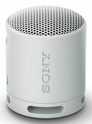 Sony SRS-XB100 Enceinte portable mono Gris 