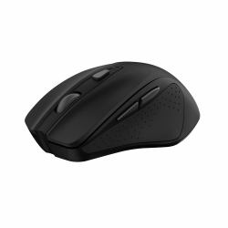 Trust Nito souris Universel Droitier RF sans fil Optique 2200 DPI 