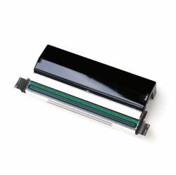 Zebra P1083320-011 tête d’impression Transfert thermique 