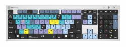 Logicclavier LKB-RESC-AJPU clavier Bureau USB QWERTY Français Argent  - version étrangère