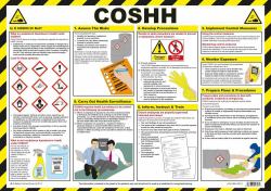 safety first aid gro COSHH [Control of Substances Hazardous to Health] Poster A2 Laminated