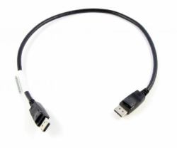 Lenovo 0.5m DisplayPort Black (Lenovo DisplayPort kabel - 0.5 m)