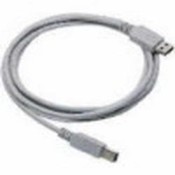 Datalogic Straight Cable - Type A USB Câble USB (CAB-438 USB TYPE A STRAIGHT - .)