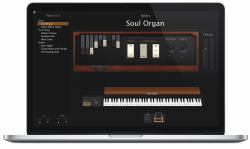 Apple Logic Pro MainStage 3 Éditeur audio 20 licence[s] 