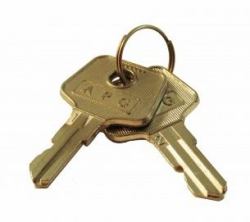 apg Solutions VPK-8K-235 armoire et support à clé Métallique (DOUBLE-BITTED TUMBLES ASSEMBLY - LOCK KEYS [A9] + LOCK PIN)