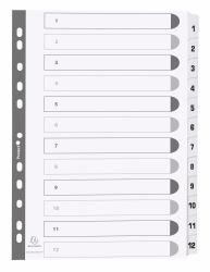 Exacompta MWD1-12Z intercalaire de classement Onglet avec index numérique Carton Blanc (Exacompta Mylar Printed 160 GSM Indices A4 12 Part 1 to 12 Numbered Tabs)