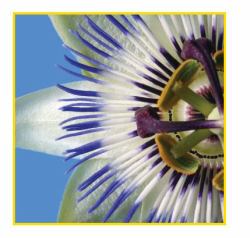 Sihl PosterColor X Blanc Mat 
